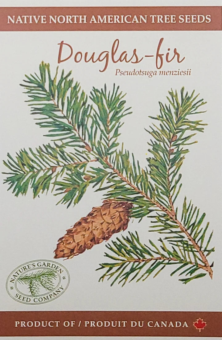 Douglas-fir Tree Seeds