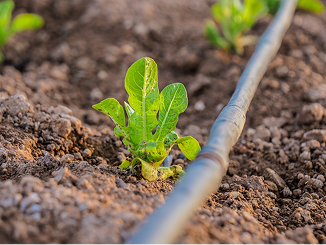 Irrigation Systems
