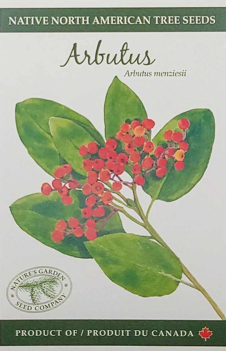 Arbutus Tree Seeds