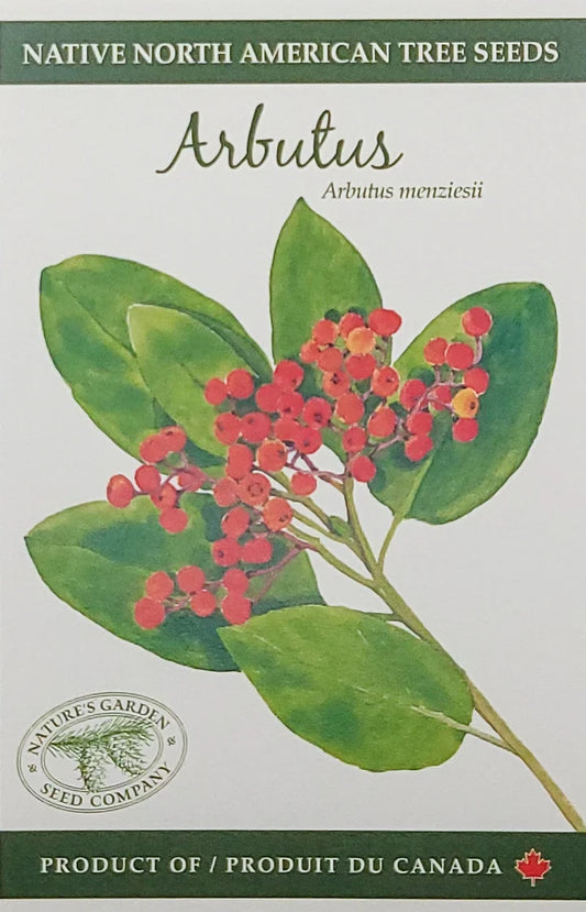 Arbutus Tree Seeds