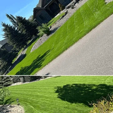 Large (4000+ SqFt)