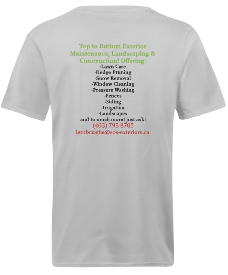 T Shirt with Back Print