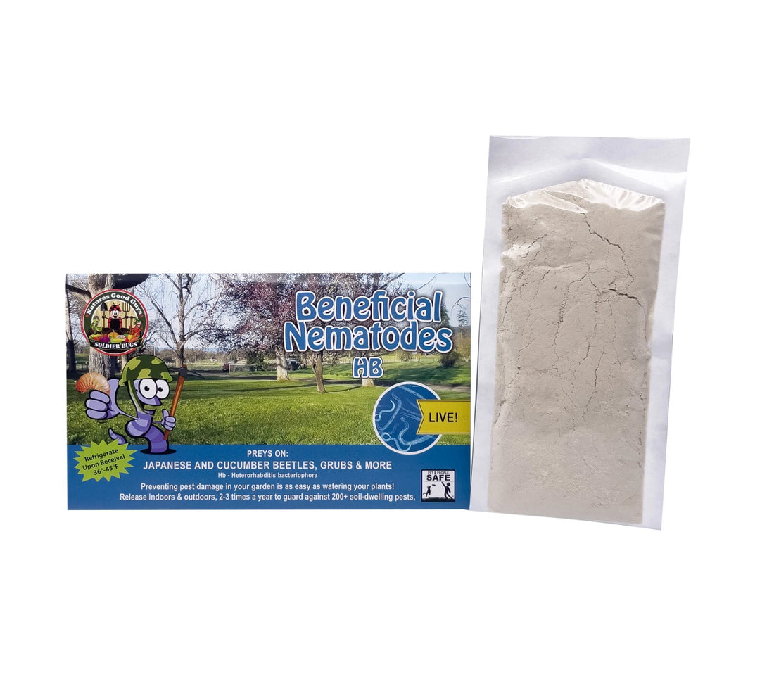 Beneficial Nematodes (50 Million) - HB / Heterorhabditis Bacteriophora